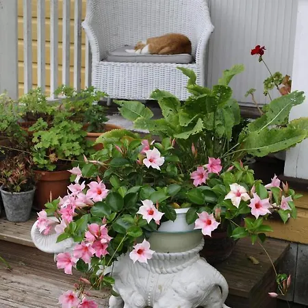 Valkolan Kartano, Vanha Tupa Habitación en casa particular *